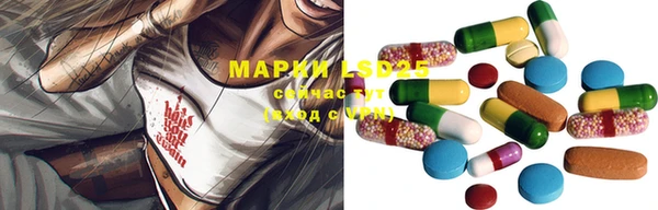 a pvp Аркадак
