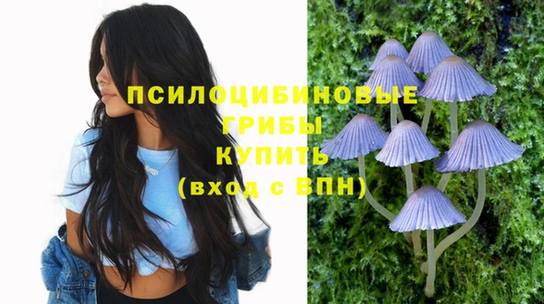 хмурый Алзамай