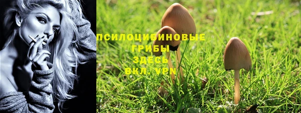 бошки Арсеньев
