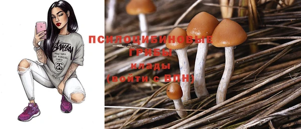 бошки Арсеньев