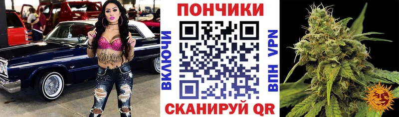 Конопля гибрид  даркнет сайт  blacksprut сайт  Полысаево 